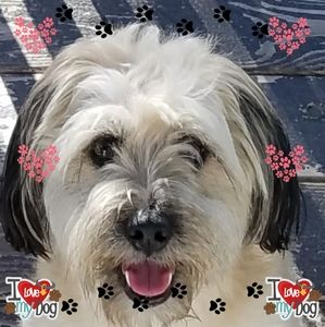 Meet your Posher, Ramona